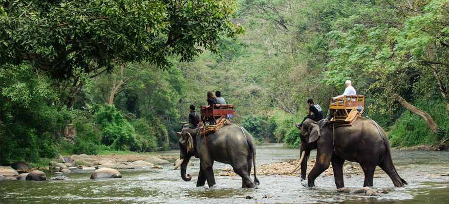 3 Days Delhi Jim Corbett Weekend Tour